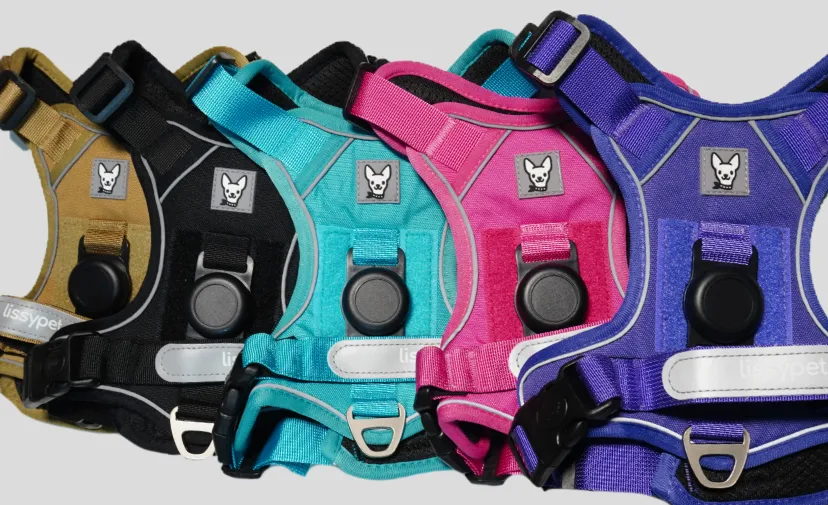 Los cinco colores del Arnés Pro de Lissypet en fila: arena, negro, turquesa, rosado y morado